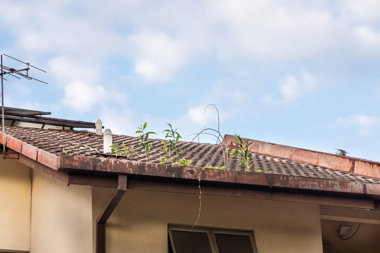Limpeza de Calhas e Forros — Serviços Locais em Bombinhas